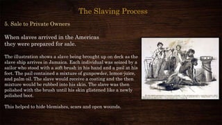 5. Sale to Private Owners
When slaves arrived in the Americas
they were prepared for sale.
The illustration shows a slave being brought up on deck as the
slave ship arrives in Jamaica. Each individual was seized by a
sailor who stood with a soft brush in his hand and a pail at his
feet. The pail contained a mixture of gunpowder, lemon-juice,
and palm oil. The slave would receive a coating and the then
mixture would be rubbed into his skin. The slave was then
polished with the brush until his skin glistened like a newly
polished boot.
This helped to hide blemishes, scars and open wounds.
The Slaving Process
 