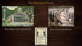 The Slaving Process
Slave Market in St. Augustine Fl. Slave auction in the Bahamas
 