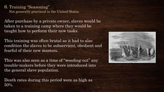 6. Training “Seasoning”
Not generally practiced in the United States
After purchase by a private owner, slaves would be
taken to a training camp where they would be
taught how to perform their new tasks.
This training was often brutal as it had to also
condition the slaves to be subservient, obedient and
fearful of their new masters.
This was also seen as a time of “weeding-out” any
trouble-makers before they were introduced into
the general slave population.
Death rates during this period were as high as
50%.
 