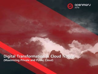 Digital Transformation & Cloud Native
(Maximizing Private and Public Cloud)
 