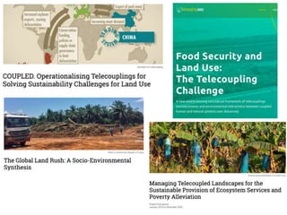 The Global Land Programme