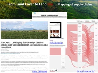 The Global Land Programme