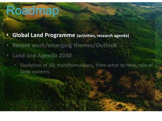 Roadmap
• Global Land Programme (activities, research agenda)
Roadmap
 