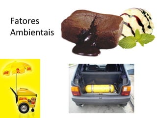 Fatores
Ambientais
 