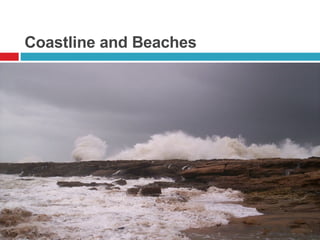Coastline and Beaches 