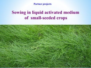 Partner projects
Sowing in liquid activated medium
of small-seeded crops
 