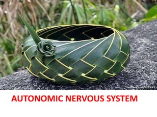 AUTONOMIC NERVOUS SYSTEM
 