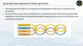 Quadruple helix approach in Greek agriculture
• The Quadruple Helix (QH) is an innovation and collaboration model with a c...