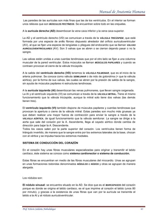Edwin Vena 01. manual de anatomía humana autor edwin saldana | PDF
