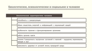 Биологическое, психологическое и социальное в человеке
Биологические характеристики человека
способность к саморегуляции
обмен веществом, энергией и информацией с окружающей средой
особенности строения и функционирования организма
работа органов чувств
психика (совокупность внутренних состояний и явлений – ощущения, переживания,
эмоции и пр.)
зависимость здоровья от условий жизни, природной среды
 