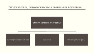 Биологическое, психологическое и социальное в человеке
Отличия человека от животных
высокоорганизованный мозг мышление членораздельная речь
 