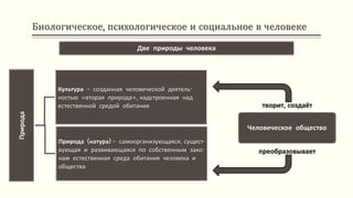 Биологическое, психологическое и социальное в человеке
Две природы человека
творит, создаёт
преобразовывает
Природа
Культура – созданная человеческой деятель-
ностью «вторая природа», надстроенная над
естественной средой обитания
Природа (натура) – самоорганизующаяся, сущест-
вующая и развивающаяся по собственным зако-
нам естественная среда обитания человека и
общества
Человеческое общество
 