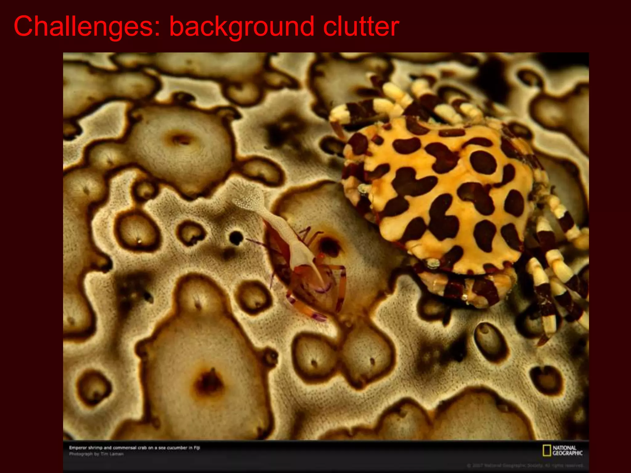 Challenges: background clutter
 