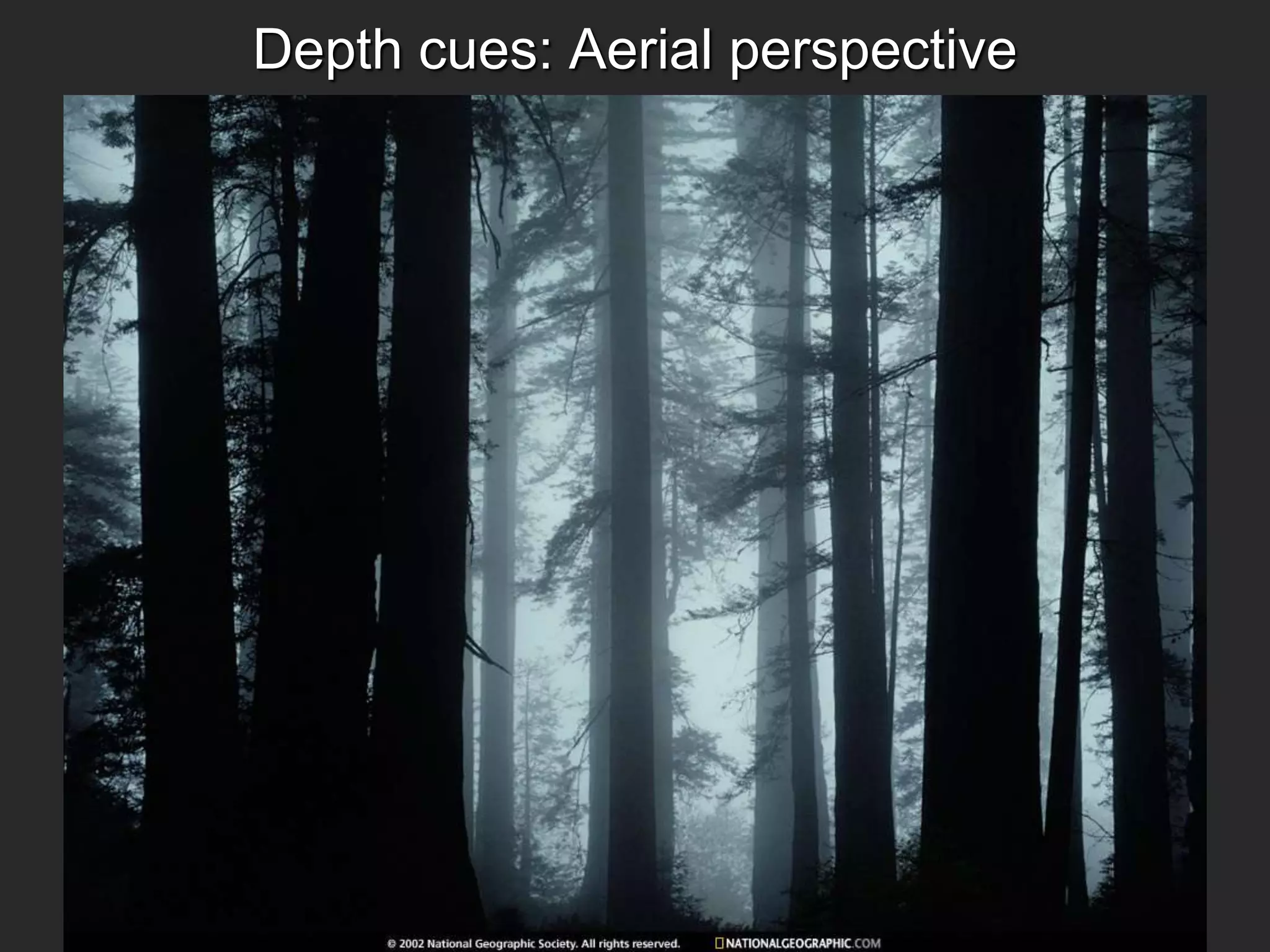 Depth cues: Aerial perspective
 