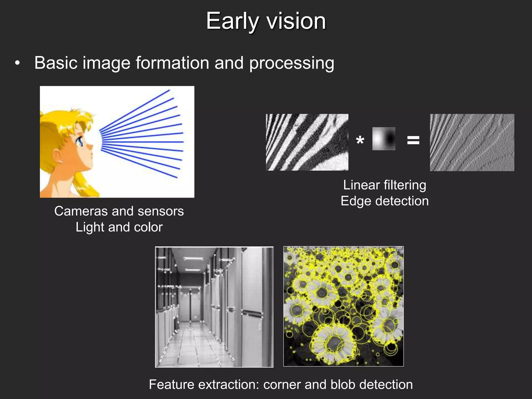Early vision
Cameras and sensors
Light and color
Linear filtering
Edge detection
* =
Feature extraction: corner and blob detection
• Basic image formation and processing
 