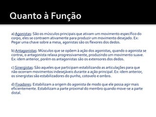 a) Agonistas: São os músculos principais que ativam um movimento específico do
corpo, eles se contraem ativamente para produzir um movimento desejado. Ex:
Pegar uma chave sobre a mesa, agonistas são os flexores dos dedos.
b) Antagonistas: Músculos que se opõem à ação dos agonistas, quando o agonista se
contrai, o antagonista relaxa progressivamente, produzindo um movimento suave.
Ex: idem anterior, porém os antagonistas são os extensores dos dedos.
c) Sinergistas: São aqueles que participam estabilizando as articulações para que
não ocorram movimentos indesejáveis durante a ação principal. Ex: idem anterior,
os sinergistas são estabilizadores do punho, cotovelo e ombro.
d) Fixadores: Estabilizam a origem do agonista de modo que ele possa agir mais
eficientemente. Estabilizam a parte proximal do membro quando move-se a parte
distal.
 