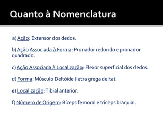 a) Ação: Extensor dos dedos.
b) AçãoAssociada à Forma: Pronador redondo e pronador
quadrado.
c) AçãoAssociada à Localização: Flexor superficial dos dedos.
d) Forma: Músculo Deltóide (letra grega delta).
e) Localização:Tibial anterior.
f) Número de Origem: Bíceps femoral e tríceps braquial.
 