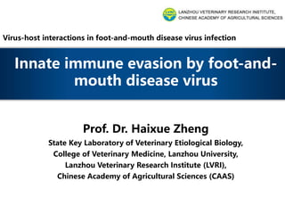 Virus-host interactions in foot-and-mouth disease virus infection
Prof. Dr. Haixue Zheng
State Key Laboratory of Veterinary Etiological Biology,
College of Veterinary Medicine, Lanzhou University,
Lanzhou Veterinary Research Institute (LVRI),
Chinese Academy of Agricultural Sciences (CAAS)
Innate immune evasion by foot-and-
mouth disease virus
 