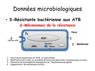 Données microbiologiques
• 3-Résistante bactérienne aux ATB
d-Mécanismes de la résistance
AA
ADN
ARN
Ribosome
Protein
e
Paroi
3 Membrane
1. Inactivation enzymatique de l’ATB, ,ex: pénicillinase
2. Modification de la cible, ex: protéines de liaison aux pénicillines, S.pneumocoque,S.aureus
3. Diminution de la perméabilité membranaire.ex ¨Pseudomonas aeruginosa
4. Augmentation des mécanismes d’efflux.
4
Tous les ATB
1
2
 