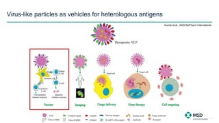Virus-like particles as vehicles for heterologous antigens
13
Kumar et al., 2020 BioPharm International
 