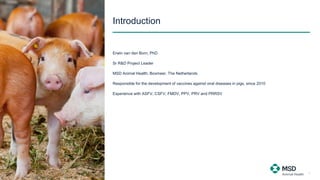 Introduction
Erwin van den Born, PhD
Sr R&D Project Leader
MSD Animal Health, Boxmeer, The Netherlands
Responsible for the...