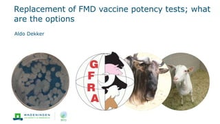 Replacement of FMD vaccine potency tests; what
are the options
Aldo Dekker
 