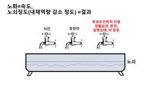 노화=속도,
노쇠정도(내재역량 감소 정도) =결과
시간 유전자
후생유전학적 지형
생활습관, 환경,
질병상태, 약 등등
노쇠
 