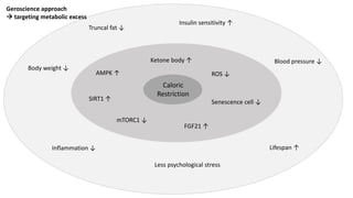 Caloric
Restriction
SIRT1 ↑
AMPK ↑
mTORC1 ↓
Inflammation ↓
ROS ↓
Ketone body ↑
Truncal fat ↓
Less psychological stress
Lifespan ↑
Insulin sensitivity ↑
Blood pressure ↓
Body weight ↓
Senescence cell ↓
FGF21 ↑
Geroscience approach
 targeting metabolic excess
 