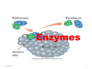 Enzymes
3/23/2023 1
 