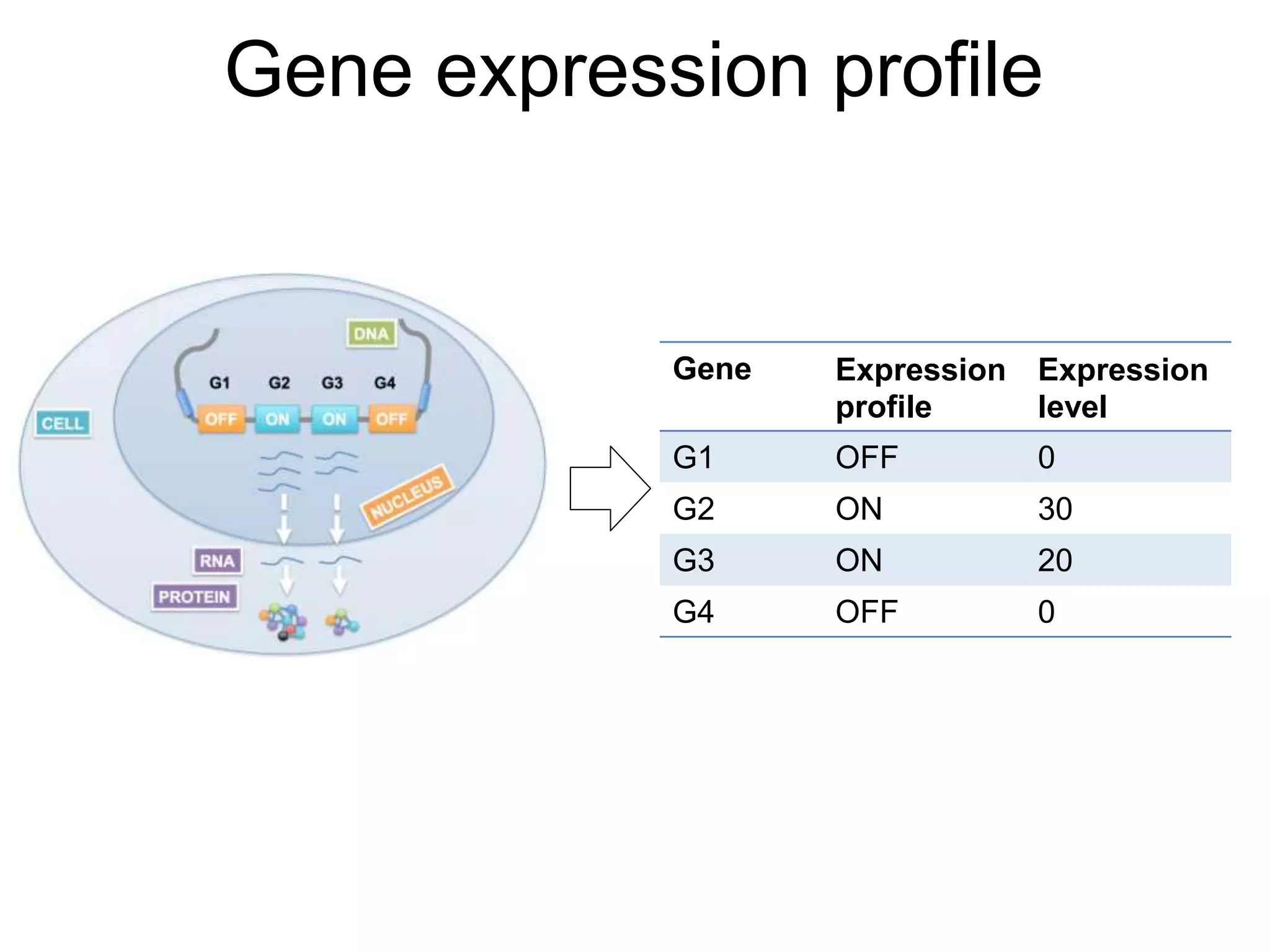 Gene expression profile
Gene Expression
profile
Expression
level
G1 OFF 0
G2 ON 30
G3 ON 20
G4 OFF 0
 