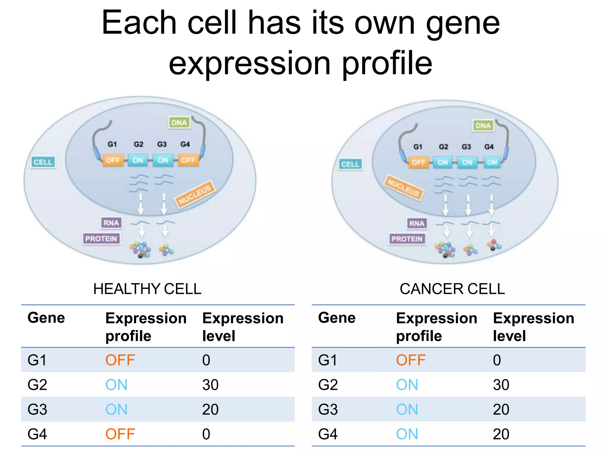Each cell has its own gene
expression profile
Gene Expression
profile
Expression
level
Gene Expression
profile
Expression
level
G1 OFF 0 G1 OFF 0
G2 ON 30 G2 ON 30
G3 ON 20 G3 ON 20
G4 OFF 0 G4 ON 20
HEALTHY CELL CANCER CELL
 