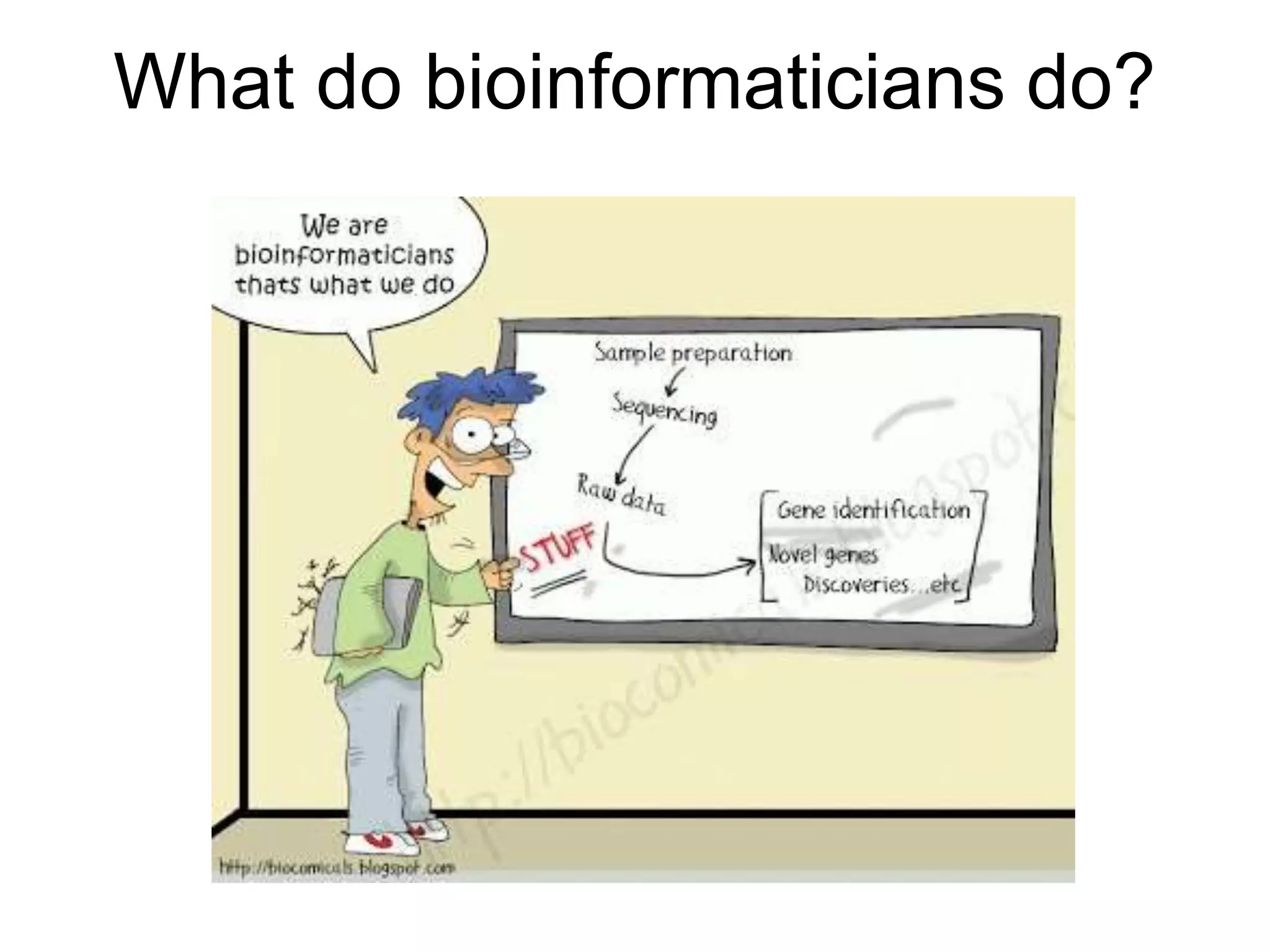 What do bioinformaticians do?
 