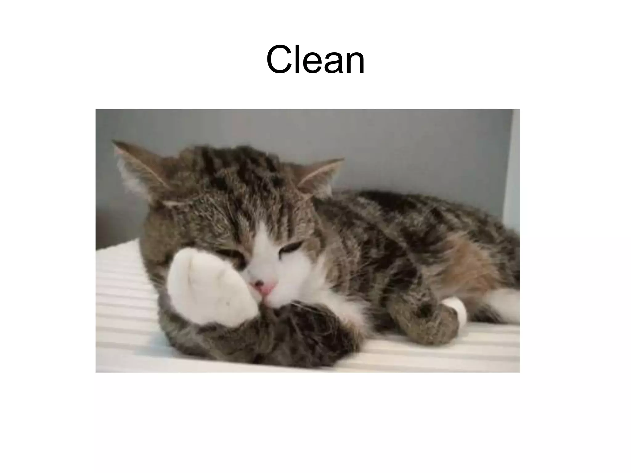 Data
Preprocessin
g
Clean
 