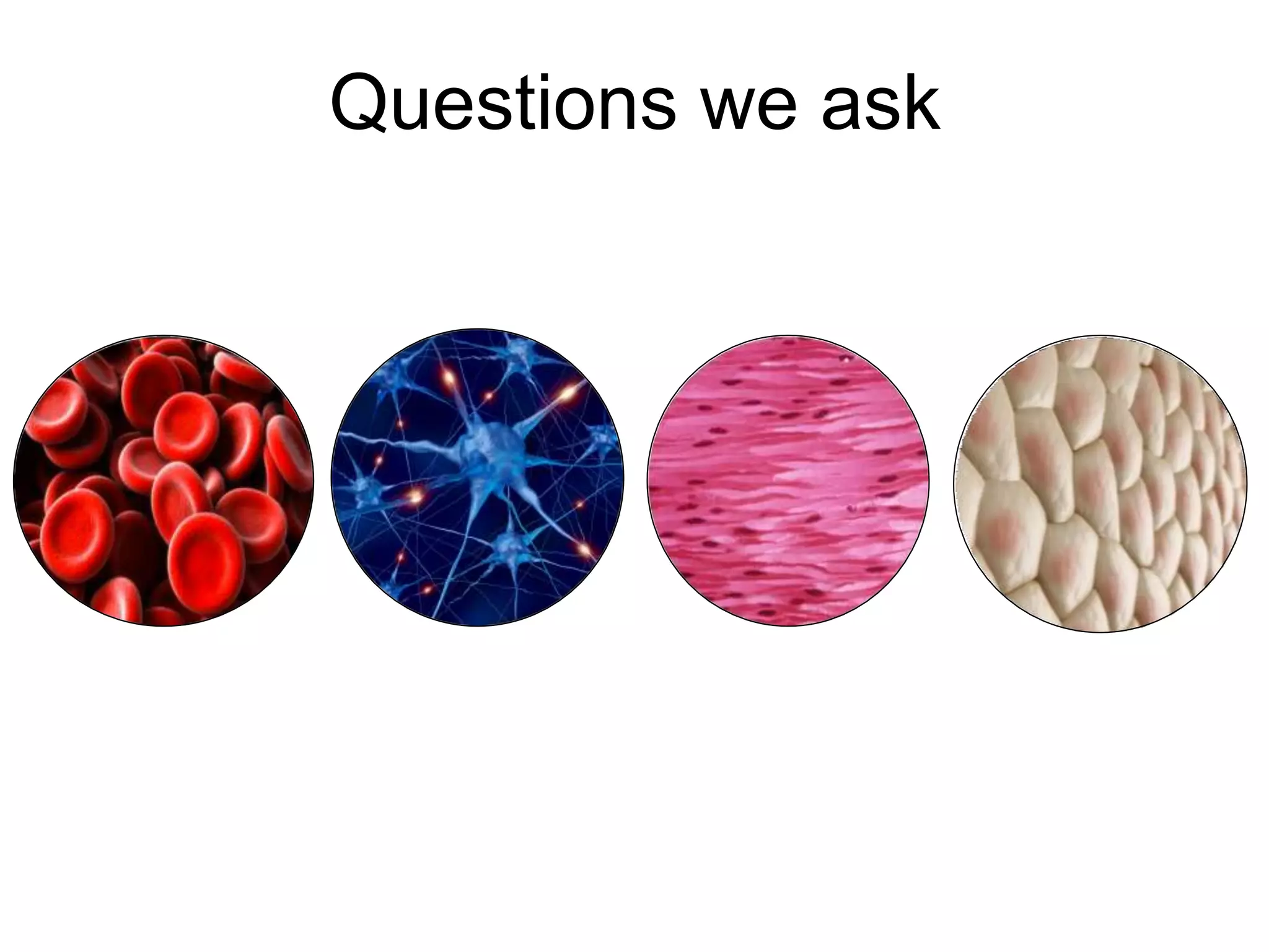 Questions we ask
 