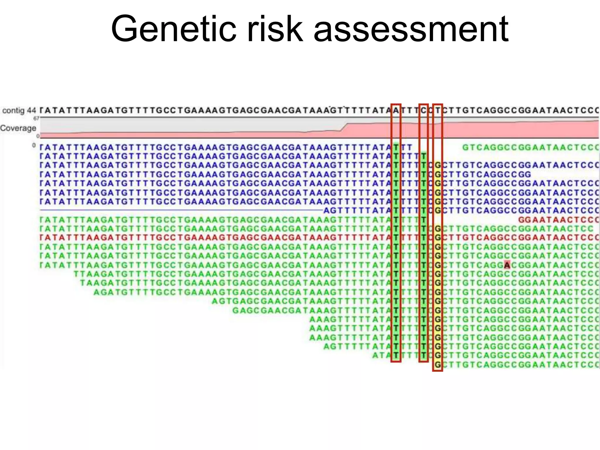 Genetic risk assessment
 