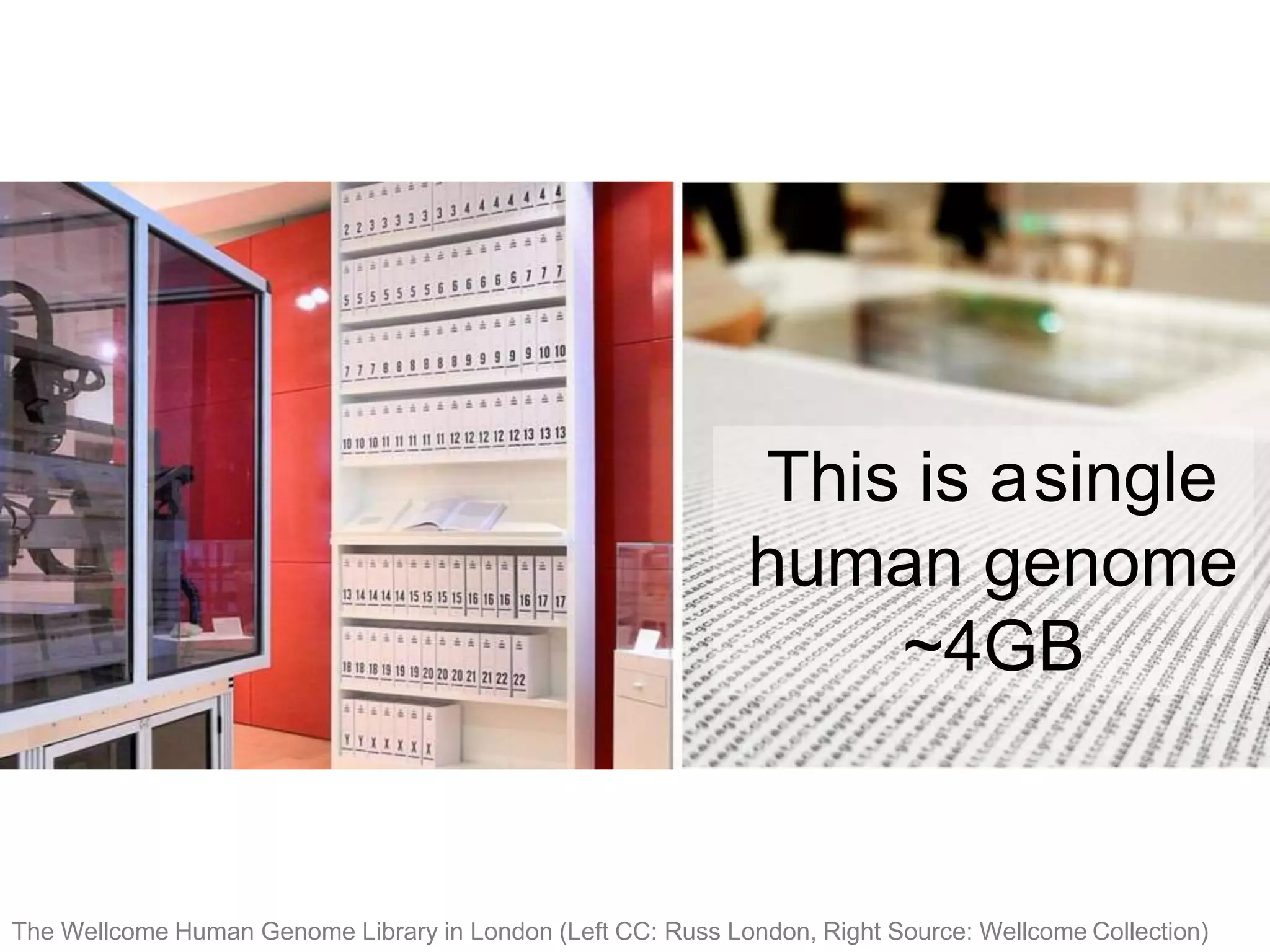 This is asingle
human genome
~4GB
The Wellcome Human Genome Library in London (Left CC: Russ London, Right Source: Wellcome Collection)
 