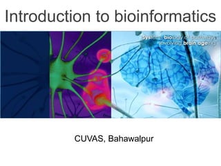 Introduction to bioinformatics
CUVAS, Bahawalpur
 