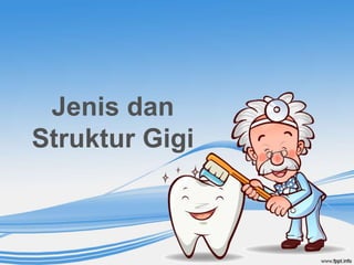 Jenis dan
Struktur Gigi
 
