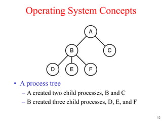12
Operating System Concepts
• A process tree
– A created two child processes, B and C
– B created three child processes, D, E, and F
 