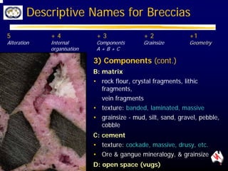 Cockade Ore 01. Brechas epitermales - Cooke.pdf