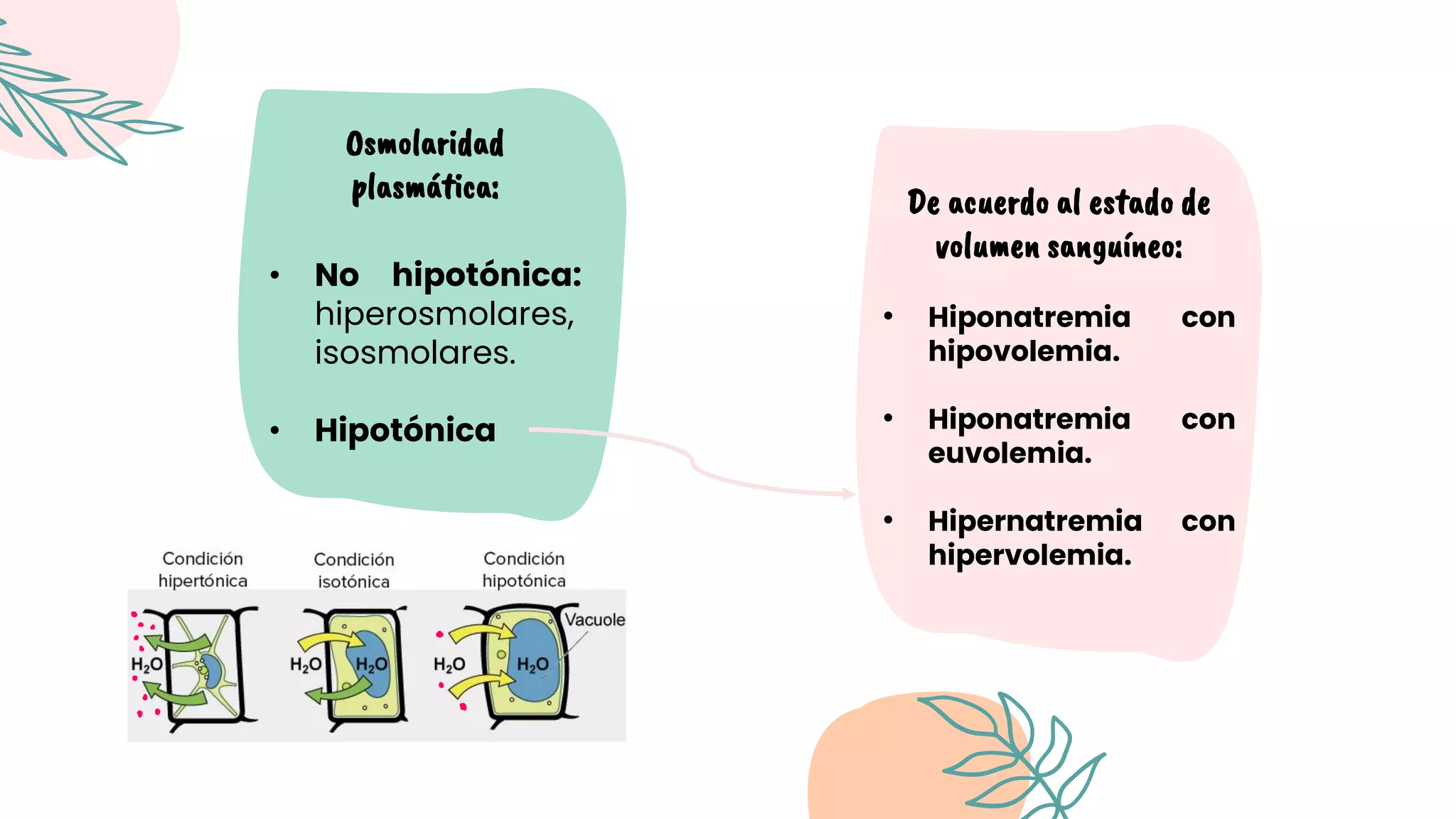 Hiponatremia e Hipernatremia.pdf