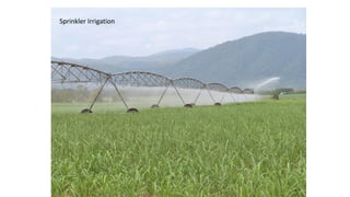 Sprinkler Irrigation
 