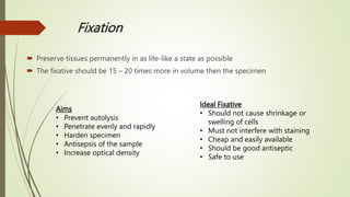 Fixation Process Step 01. Tissue Processing-1.pptx