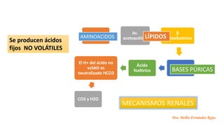 Dra. Melba Fernández Rojas
H2SO4
Ac.
acetoacético
β
hidroxibutírico
Ac. Úrico
Ácido
fosfórico
El H+ del ácido no
volátil es
neutralizado HCO3
CO2 y H2O
Se producen ácidos
fijos NO VOLÁTILES
AMINOACIDOS LÍPIDOS
BASES PÚRICAS
MECANISMOS RENALES
 