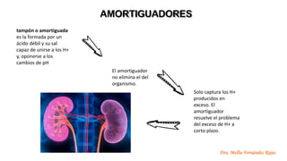 AMORTIGUADORES
Dra. Melba Fernández Rojas
Solo captura los H+
producidos en
exceso. El
amortiguador
resuelve el problema
del exceso de H+ a
corto plazo.
El amortiguador
no elimina el del
organismo.
tampón o amortiguada
es la formada por un
ácido débil y su sal
capaz de unirse a los H+
y, oponerse a los
cambios de pH
 