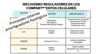 MECANISMO REGULADORES EN LOS
COMPARTIMENTOS CELULARES
BUFFER
BUFFER IMPORTANCIA
LEC
Bicarbonato
Hemoglobina
Proteínas Plasmáticas Fosfatos
Taponamiento de ácidos fijos
Taponamiento de CO2
Importancia menor
Importancia menor
LIC
Proteínas
Fosfatos
Importancia mayor
Importancia mayor
HUESO Carbonato de Ca++
Acidosis metabólicas
prolongadas
ORINA
Fosfatos
Amonio
Acidez titulable
Regulación de la excreción de
H+
 