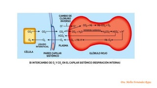 Dra. Melba Fernández Rojas
 
