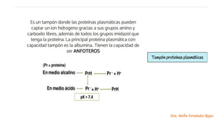 Dra. Melba Fernández Rojas
 