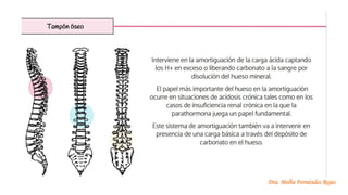 Dra. Melba Fernández Rojas
 