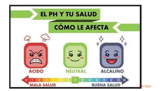 Dra. Melba Fernández Rojas
 